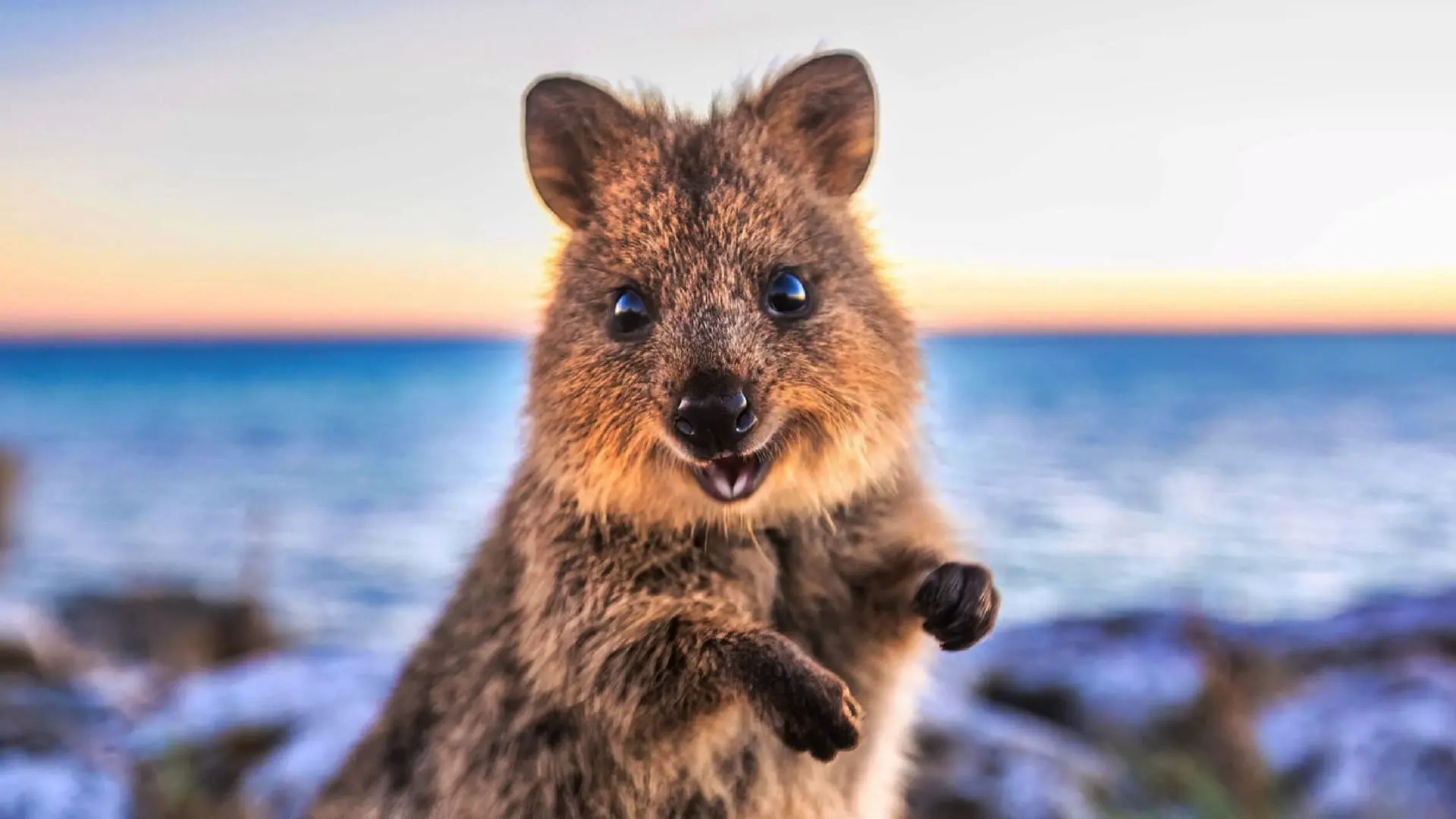 Pleasure Pier Sunrise, Galveston, Texas